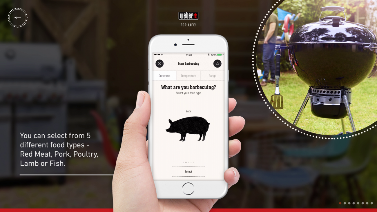 A screen from the "Experience" section asking the user to select the food type